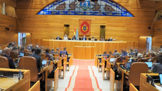 Declaración institucional do Parlamento de Galicia no marco do mes dedicado ás enfermidades reumáticas